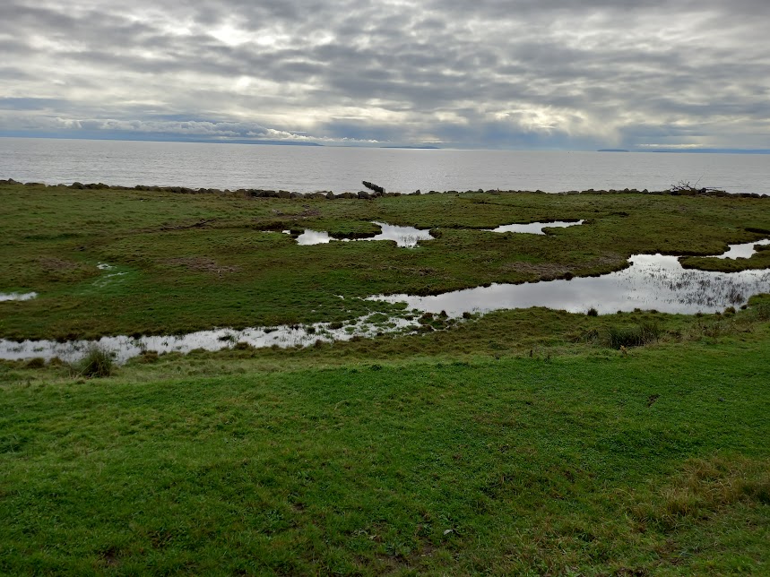 Photograph of the River Severn