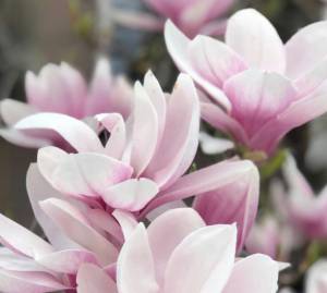 Credit to Christina DiBernardo on Unsplash