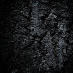 Photograph by Haniel Cal on Unsplash