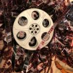 Credit Jill Marv on Unsplash