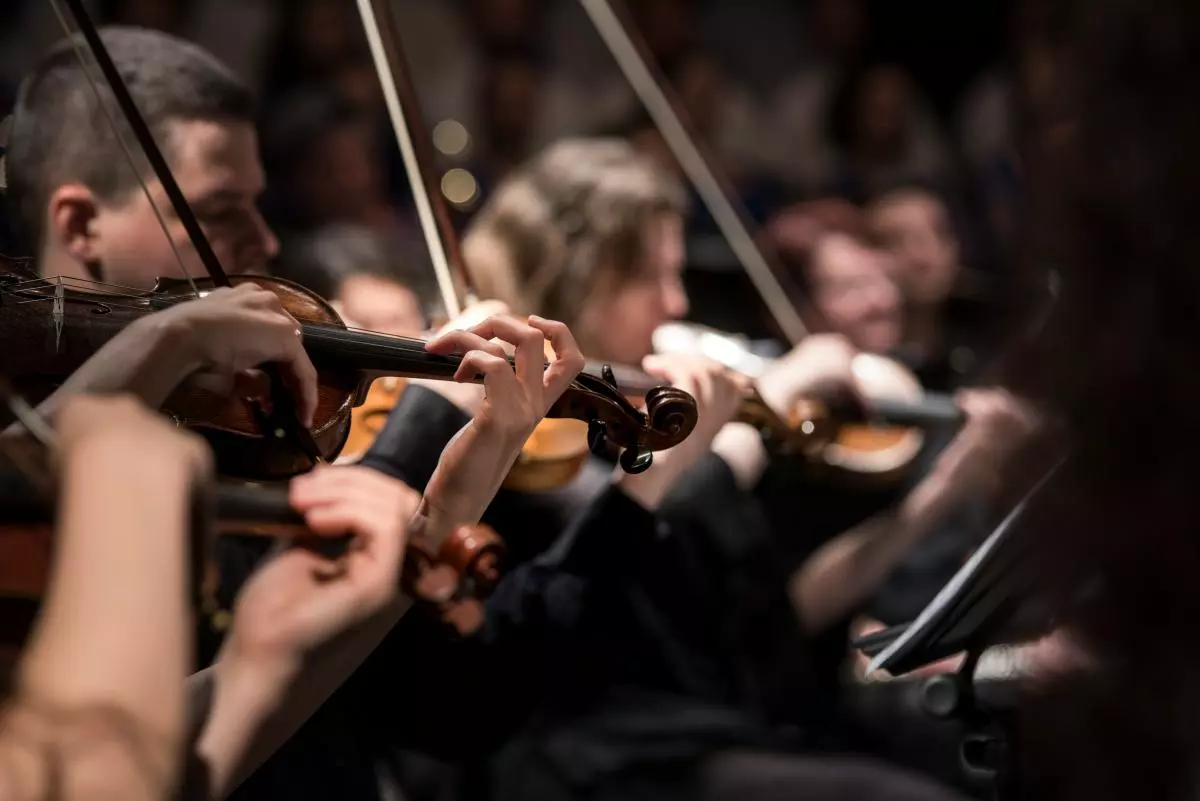 orchestra players