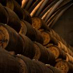 Credit Marvin L on Unsplash