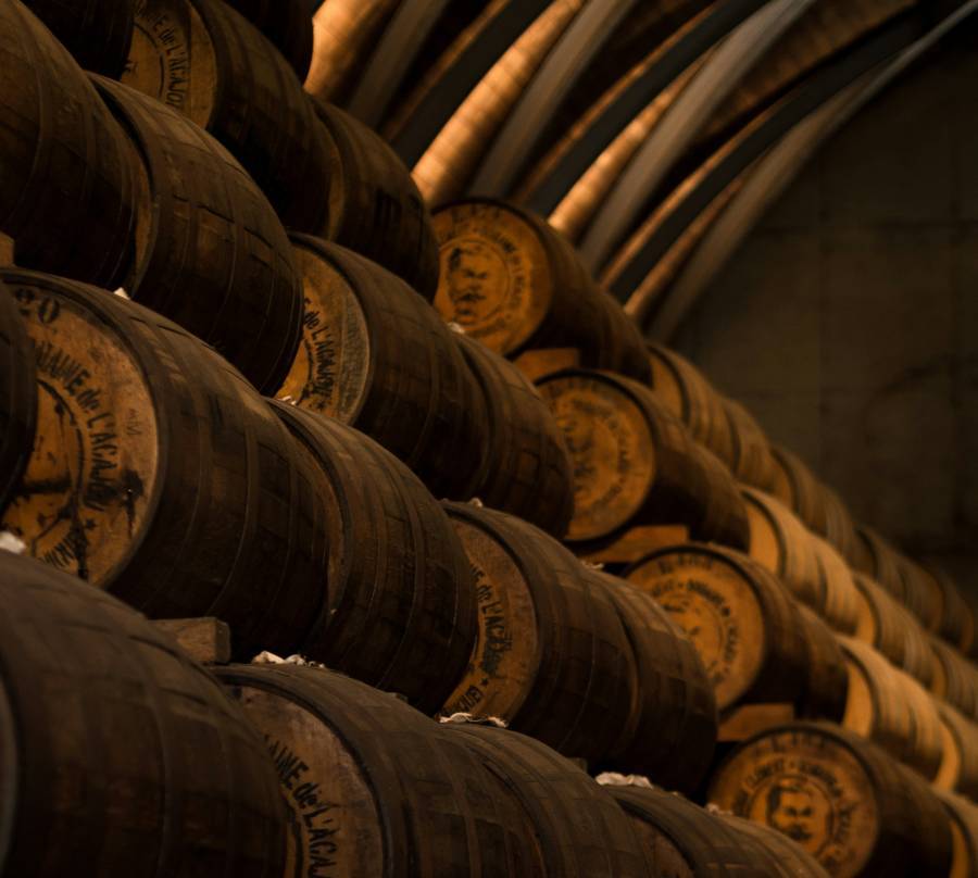 Credit Marvin L on Unsplash