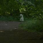 Paulina B on Unsplash